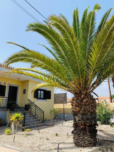 Vivienda Vacacional Tinizara Arona  Kültér fotó